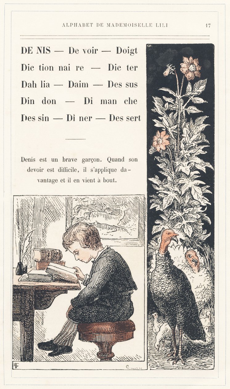 Denis, Dovere, Dito, Dizionario, Dettare, Dalia, Svezia, Cima, Tacchino, Domenica, Disegno, Cena, Dessert, pagina 17 - Alfabeto di Mademoiselle Lili, di L. Froelich e di un papà (Hetzel stesso). Bibliothèque & Magasin d