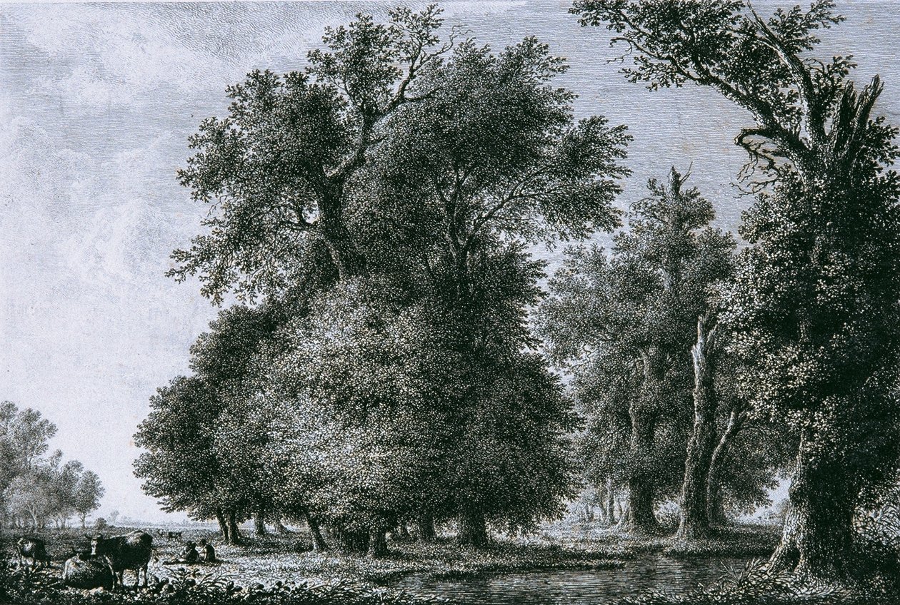 Paesaggio con querce da Lorenz Adolf Schönberger