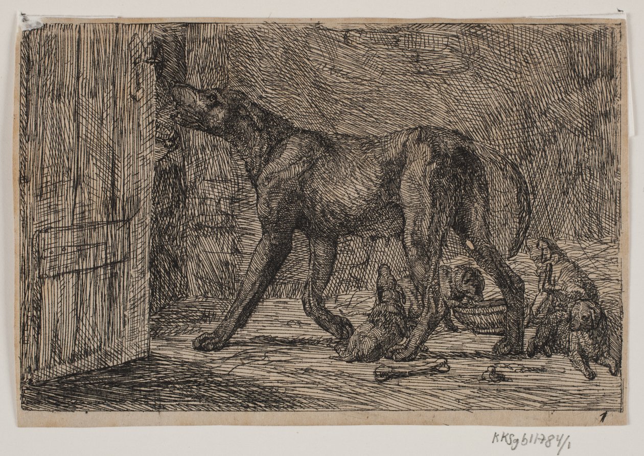 Immagine 1 da Lorenz Frølich
