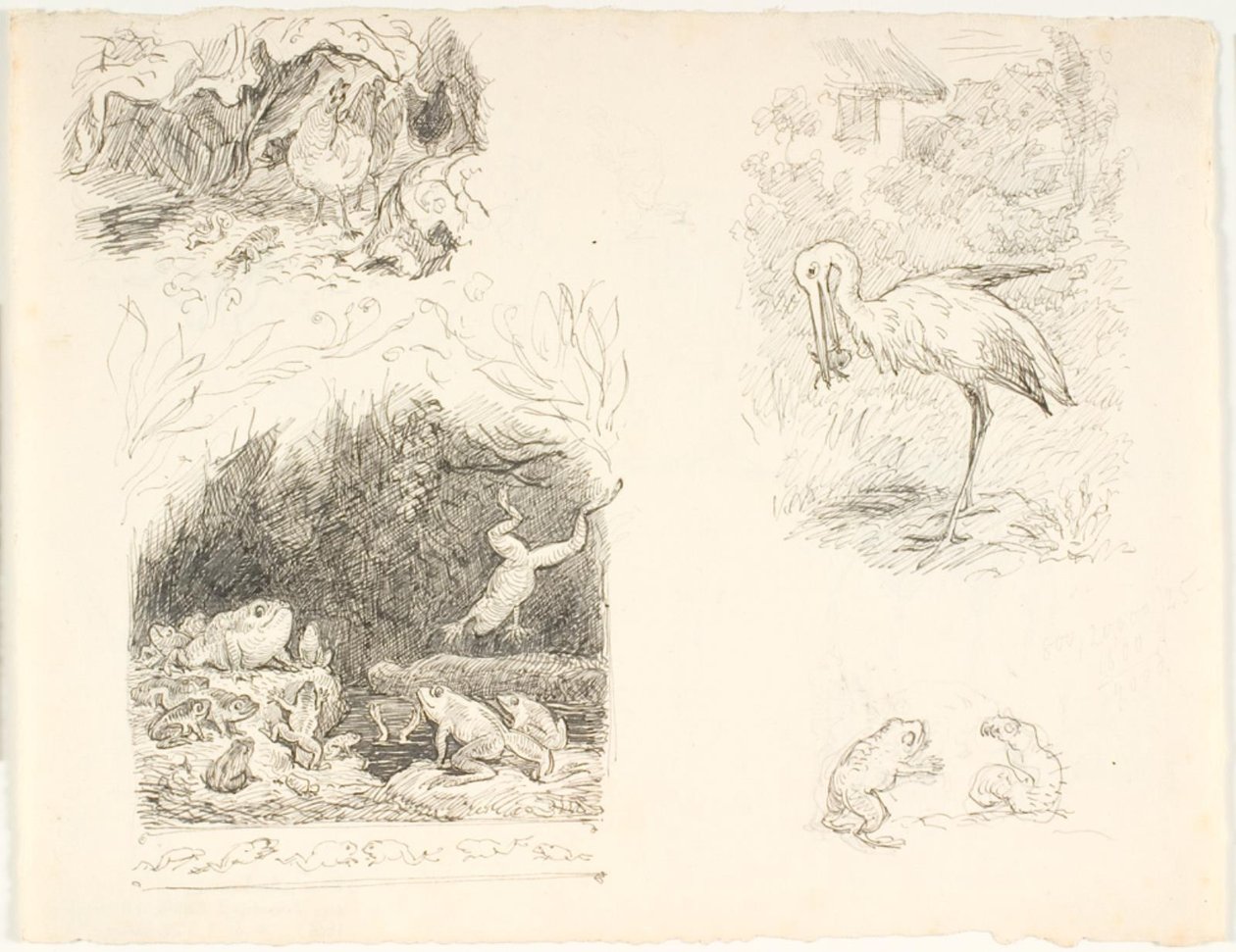 Quattro bozze per illustrazioni per Il rospo, Nuove fiabe e storie di H.C. Andersen da Lorenz Frølich