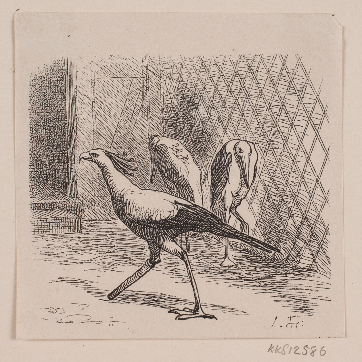 Segretario nel Jardin des Plantes da Lorenz Frølich