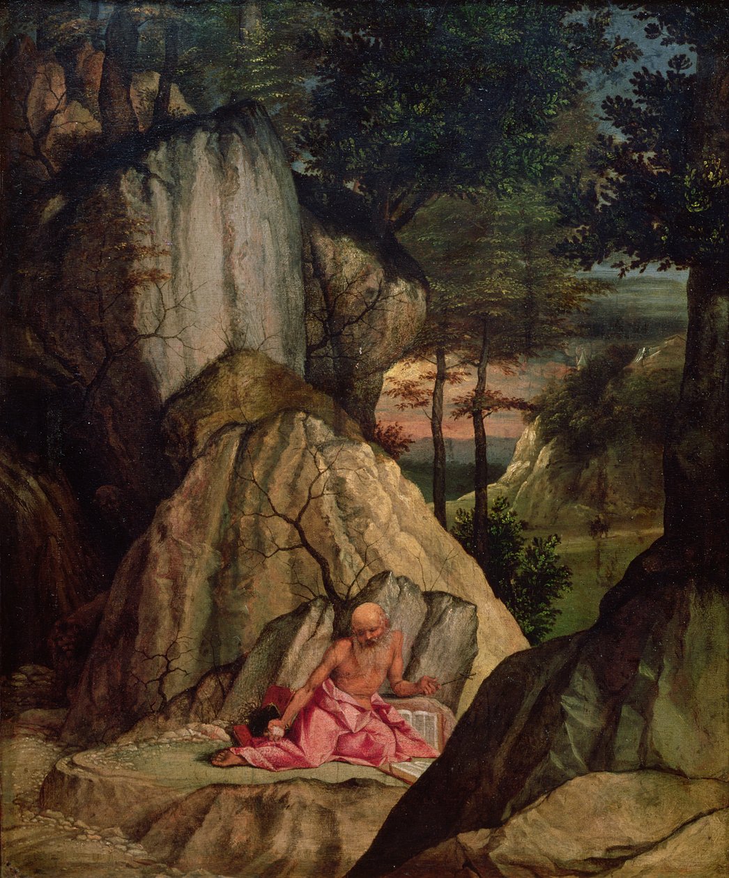 San Girolamo che medita nel deserto, 1506 | Lorenzo Lotto