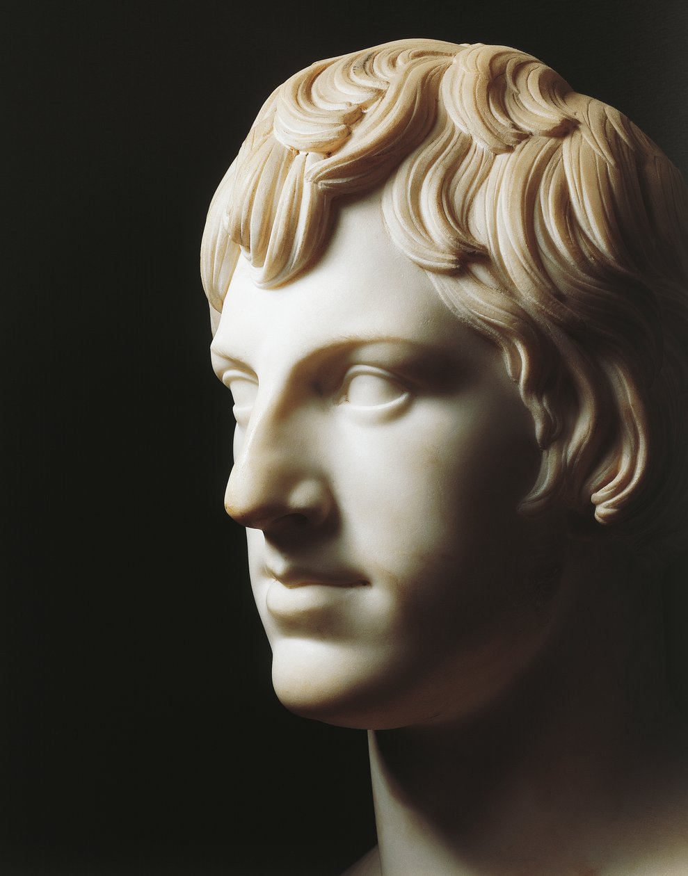 Ritratto di Carlo Luigi di Borbone-Parma da Lorenzo Bartolini