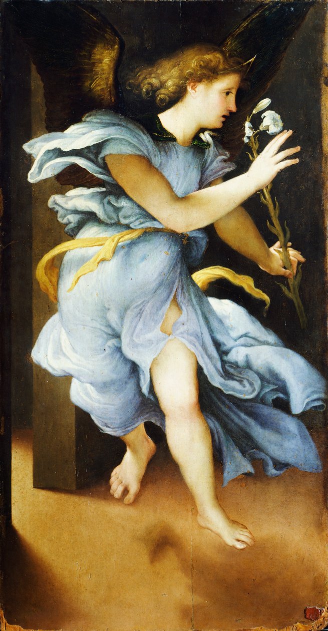 Angelo annunciante, circa 1525, di Lorenzo Lotto (1480 ca- 1556) da Lorenzo Lotto