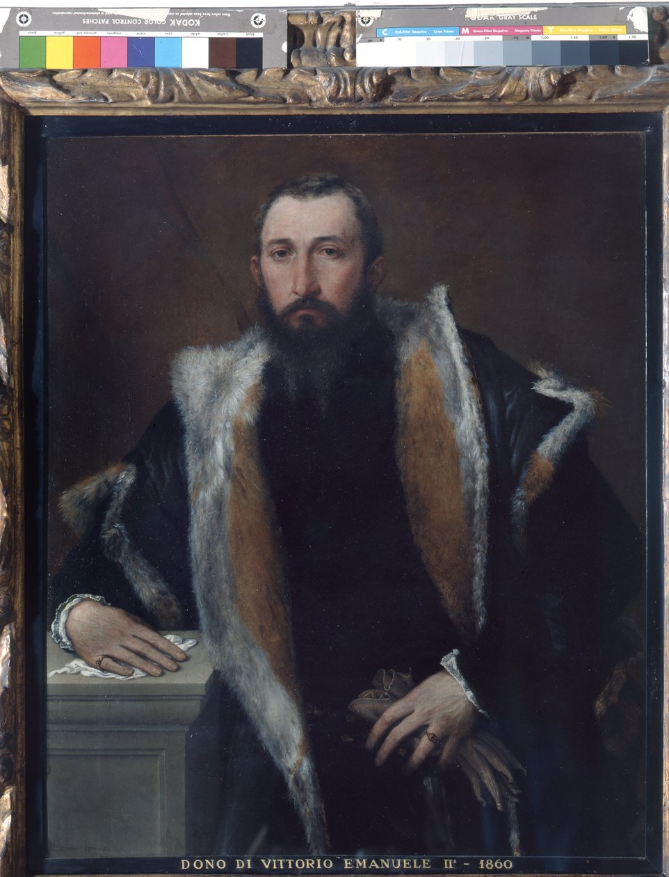 Ritratto di Febo da Brescia da Lorenzo Lotto