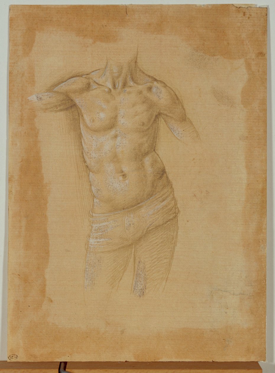 Busto di uomo seminudo, senza testa ... da Lorenzo di Credi