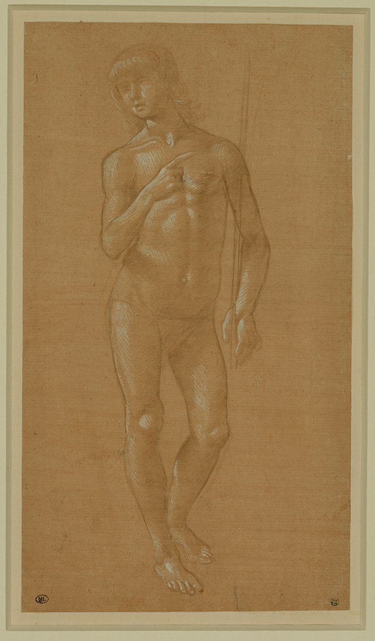 Giovane nudo, a figura intera, che tiene in mano un bastone Pennino d