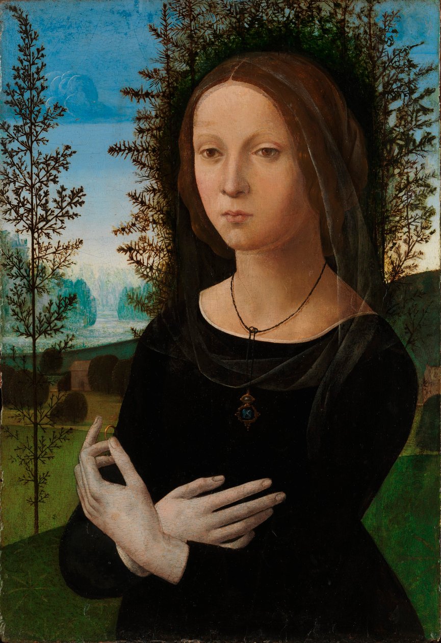 Ritratto di giovane donna da Lorenzo di Credi
