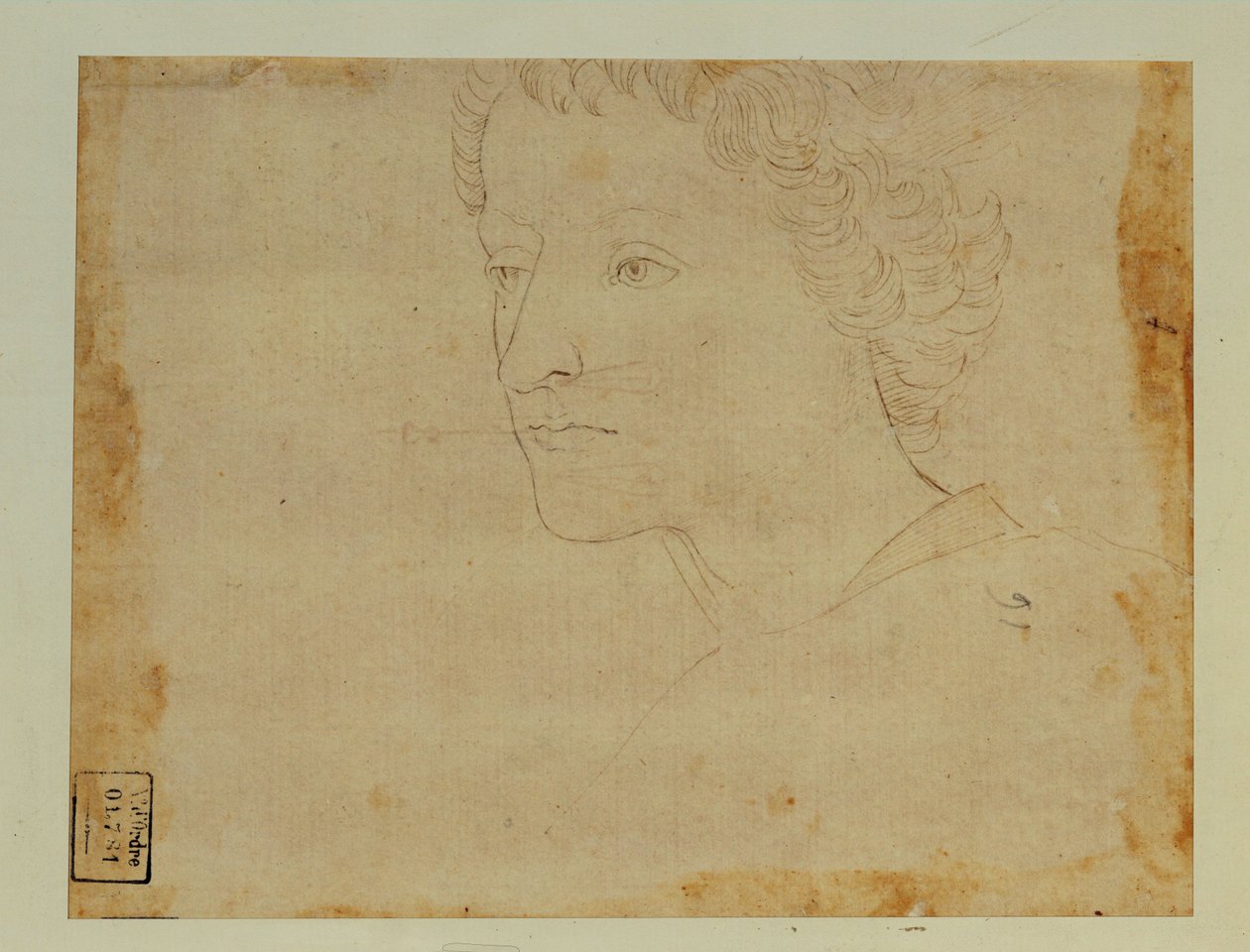 Ritratto di ragazzo con capelli ricci, di tre quarti verso sinistra ... da Lorenzo di Credi