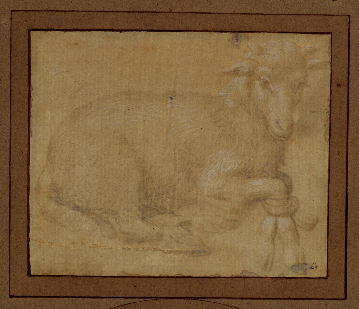 Studio di un agnello ... da Lorenzo di Credi
