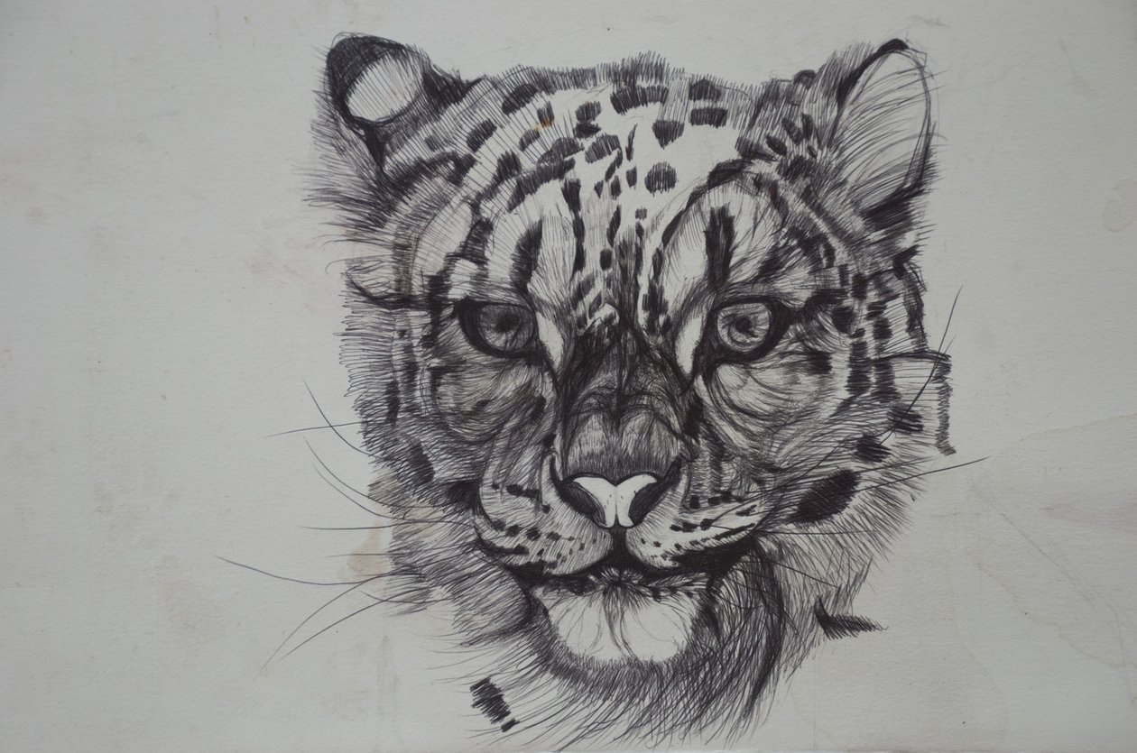 Leopardo delle nevi, 2016 da Lou Gibbs