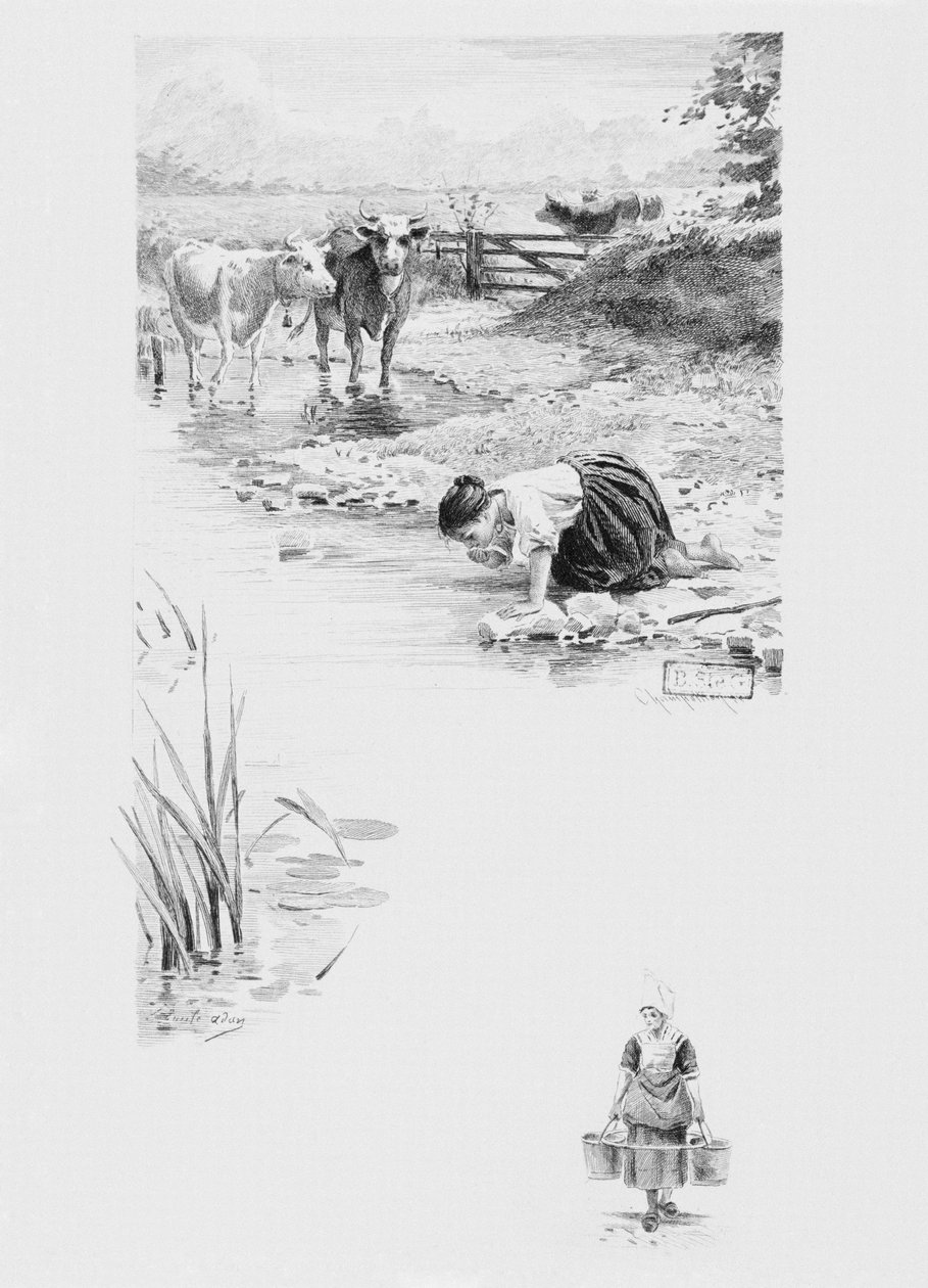 La serva Felicite, illustrazione da 