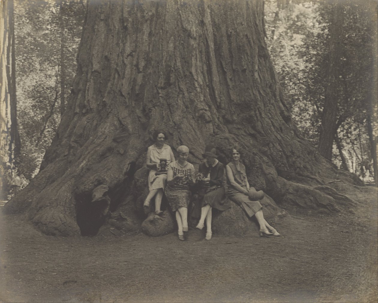 (Donne con macchine fotografiche alla base di un albero) da Louis Fleckenstein