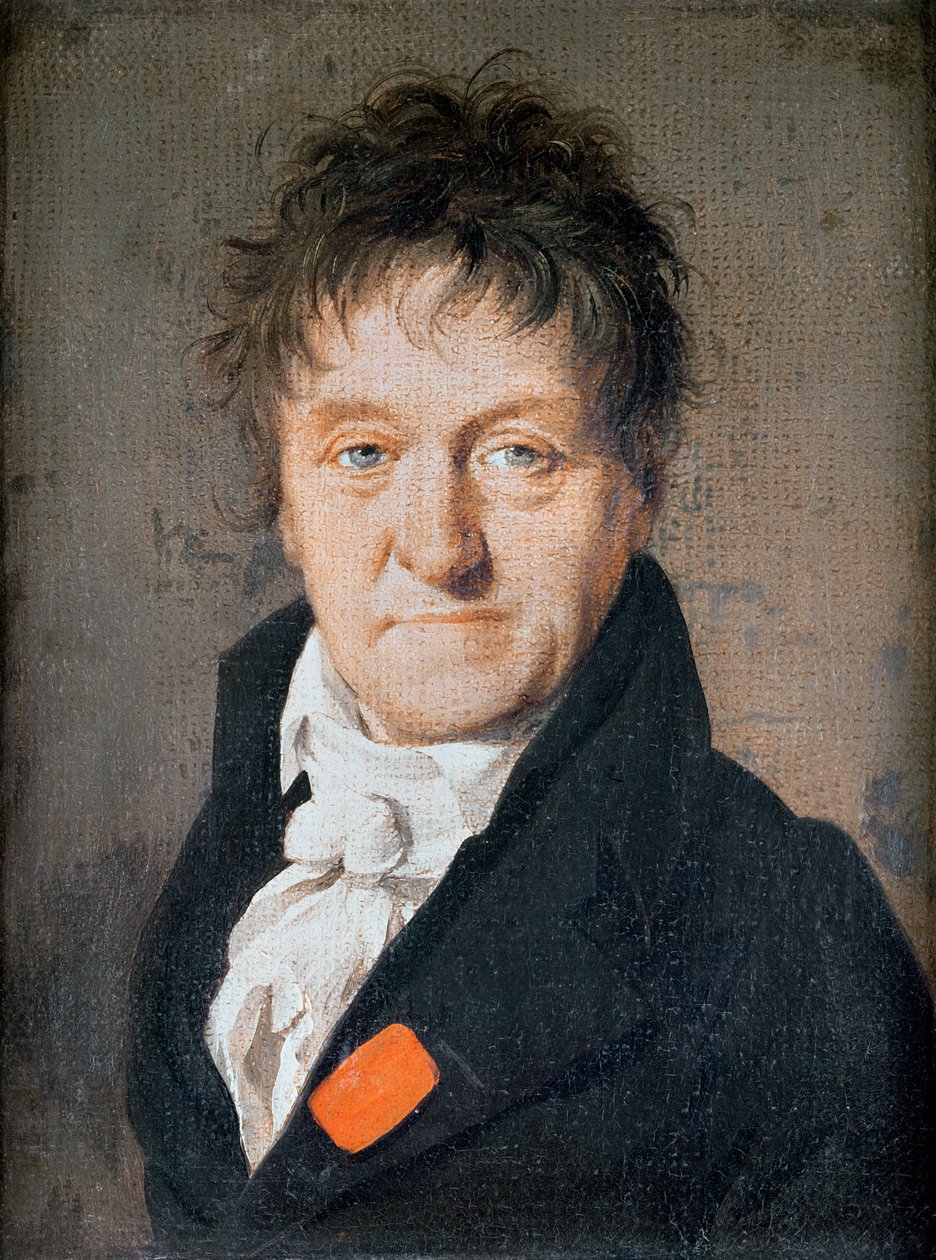 Ritratto di Lazare Nicolas Marguerite Carnot (1753-1823) 1813 da Louis Leopold Boilly