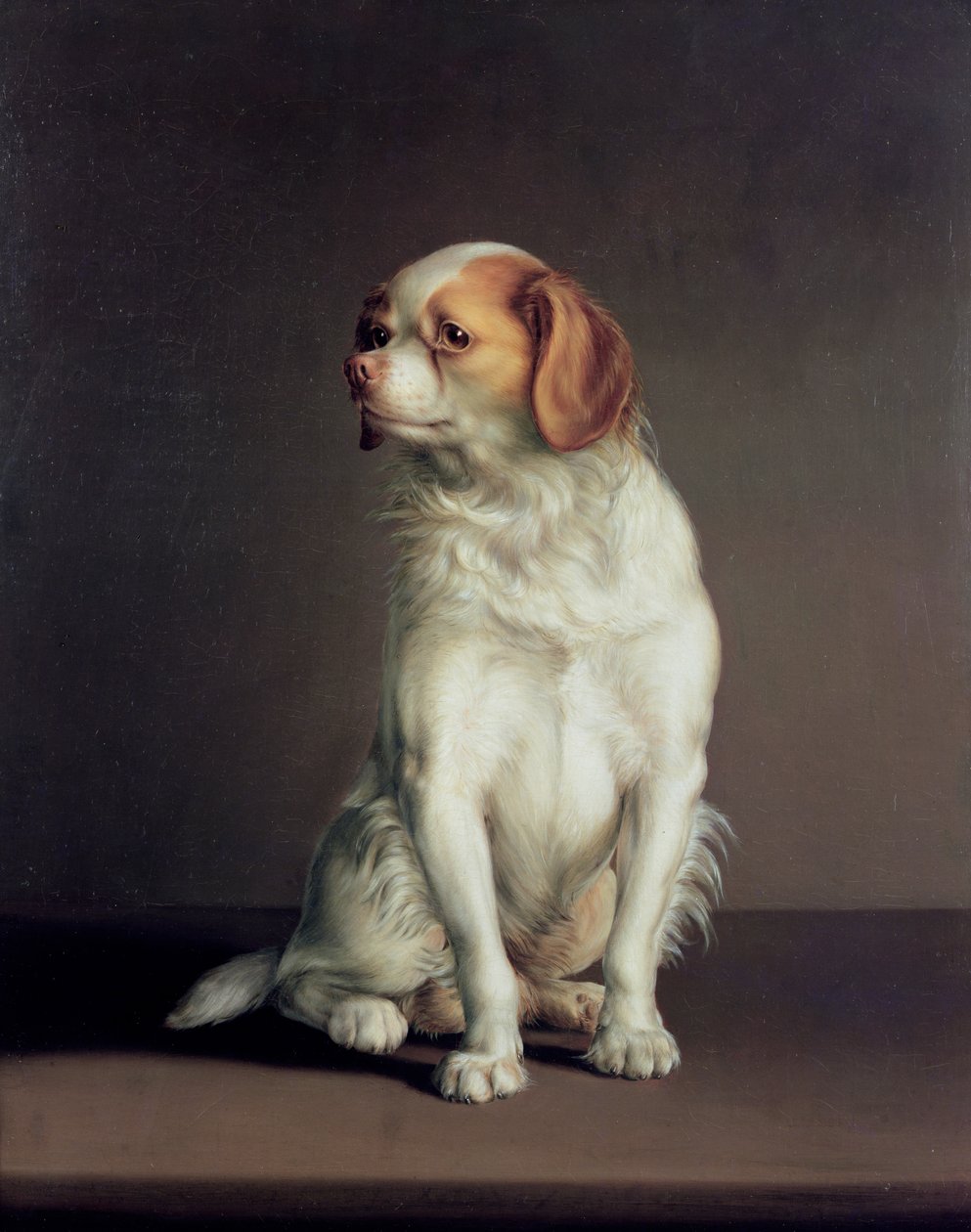Ritratto di un King Charles Spaniel da Louis Leopold Boilly