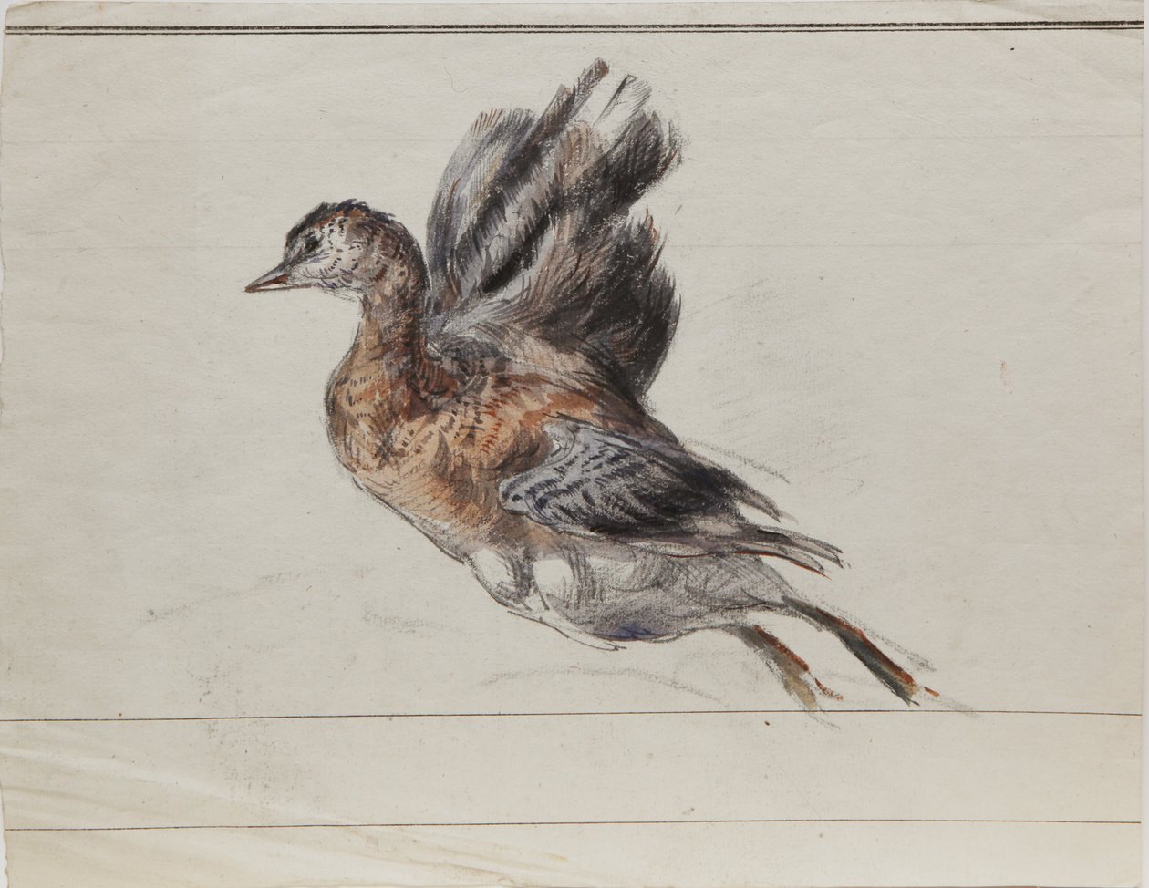 Disegno da Louis Marie Faudacq