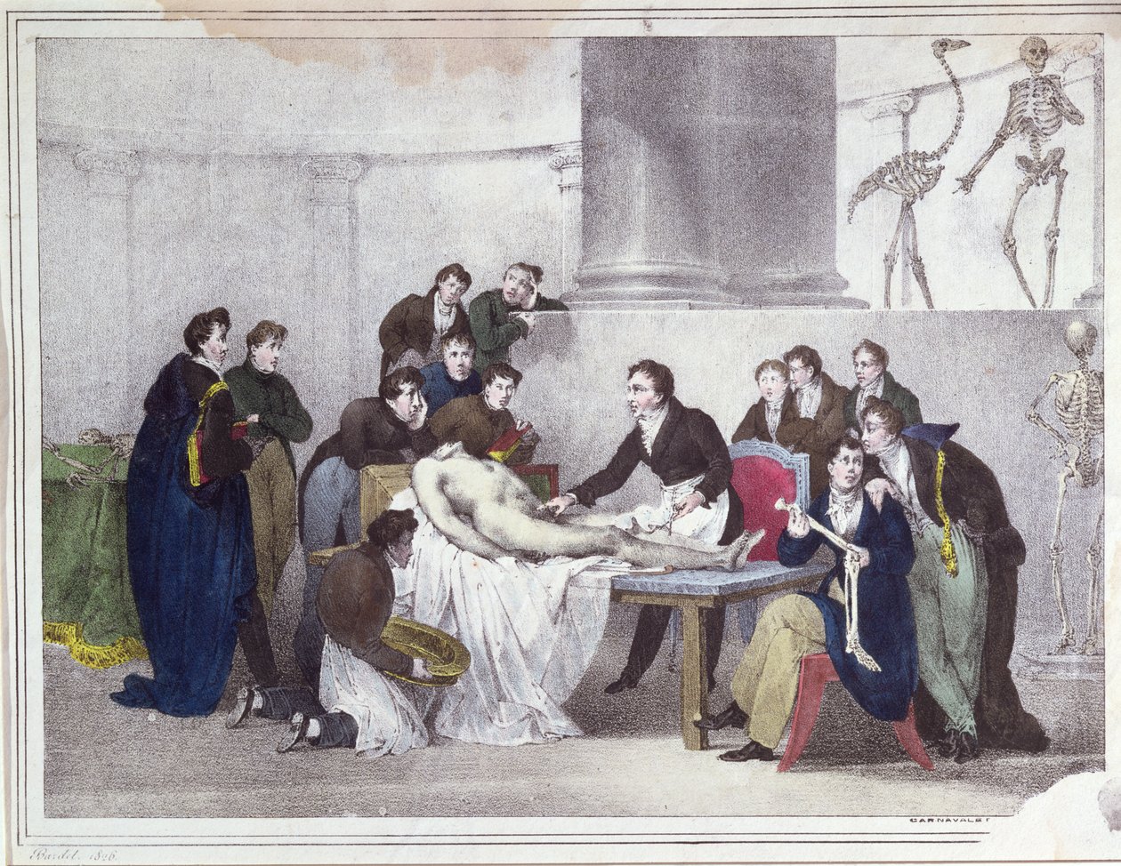 La lezione di anatomia, 1826 da Louis Thomas Bardel