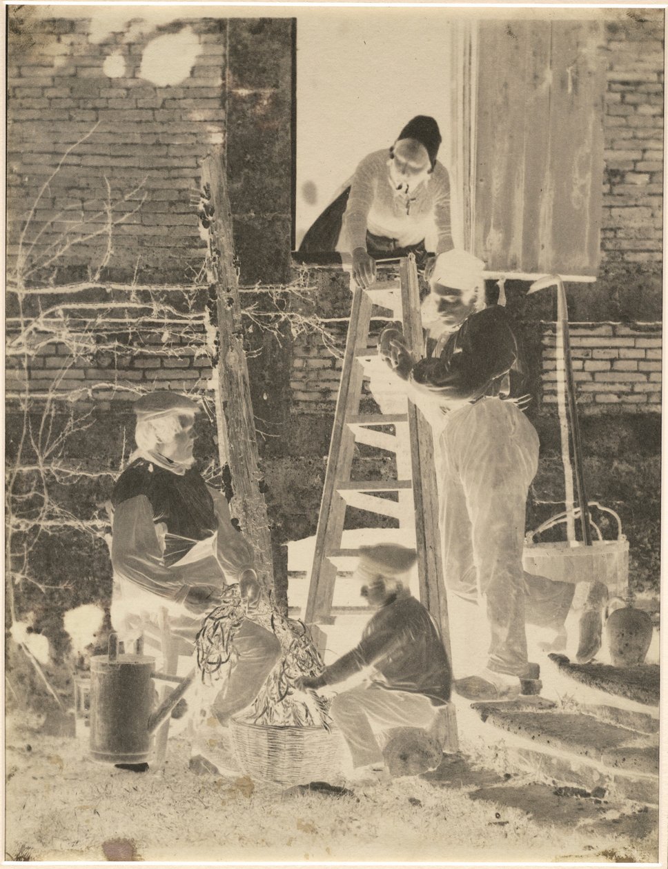 I selezionatori di fagioli, c. 1857 (foto) da Louis Adolphe Baron Humbert de Molard