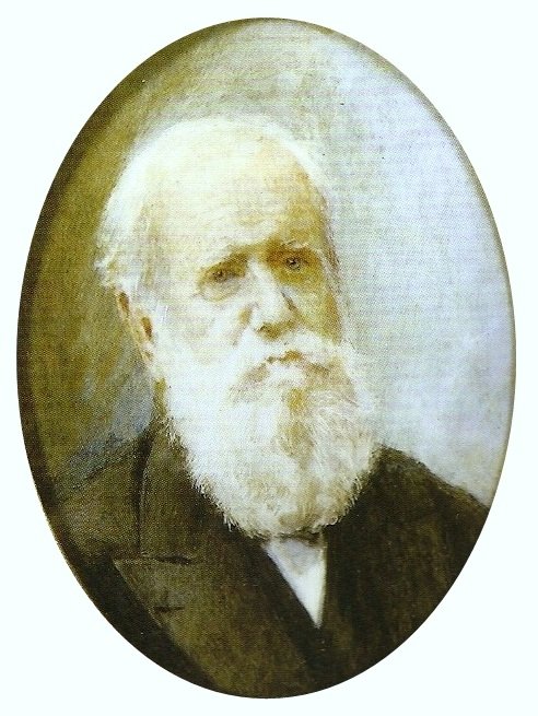 Pedro II del Brasile da Louis Robert de Cuvillon