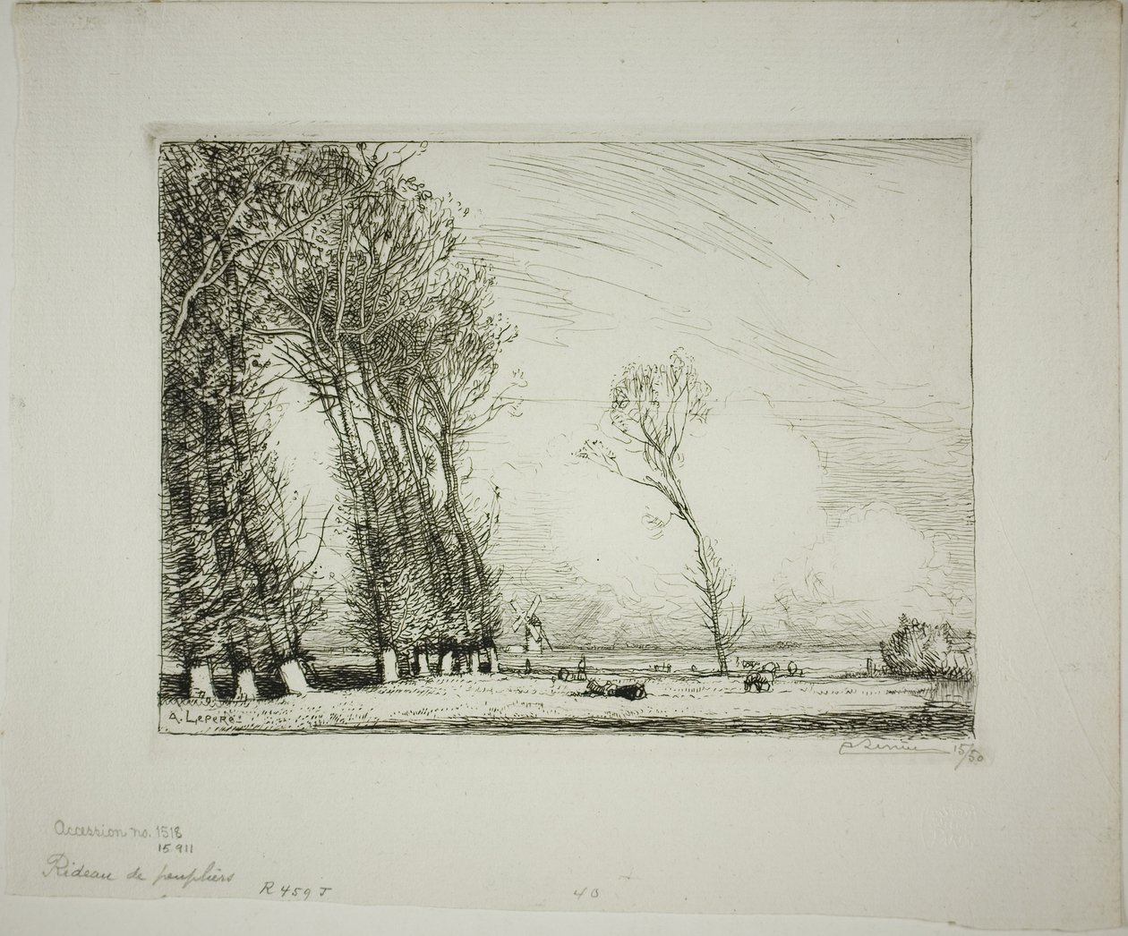 Schermo di pioppi da Louis Auguste Lepère