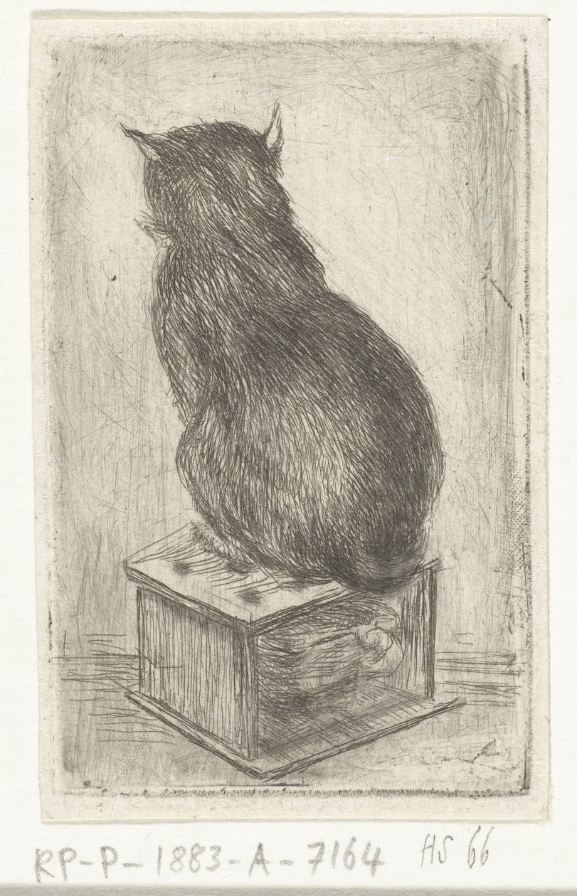 Gatto seduto su uno sgabello da Louis Bernard Coclers