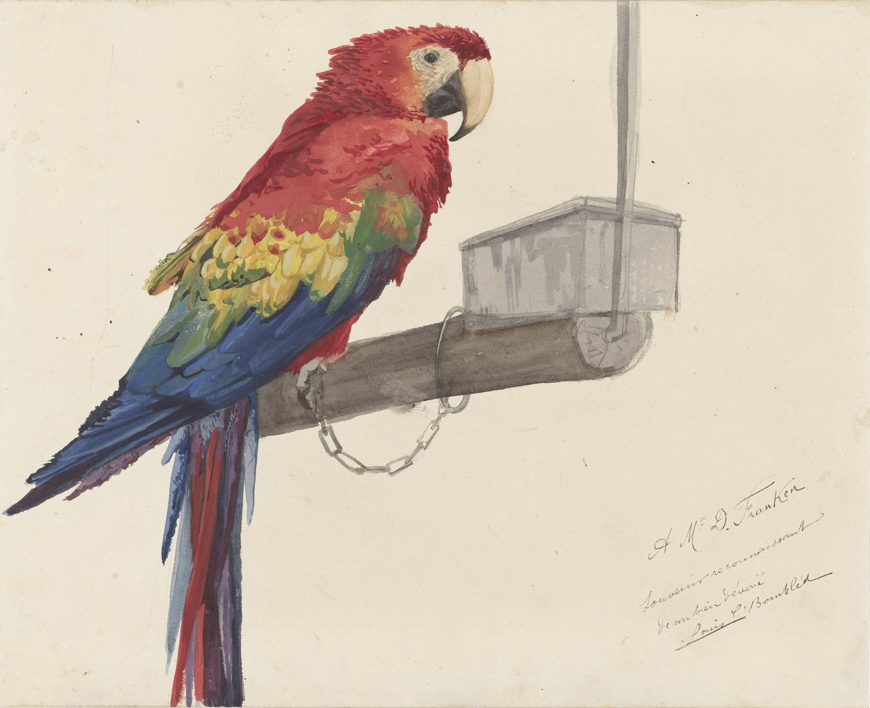 Pappagallo da Louis Charles Bombled