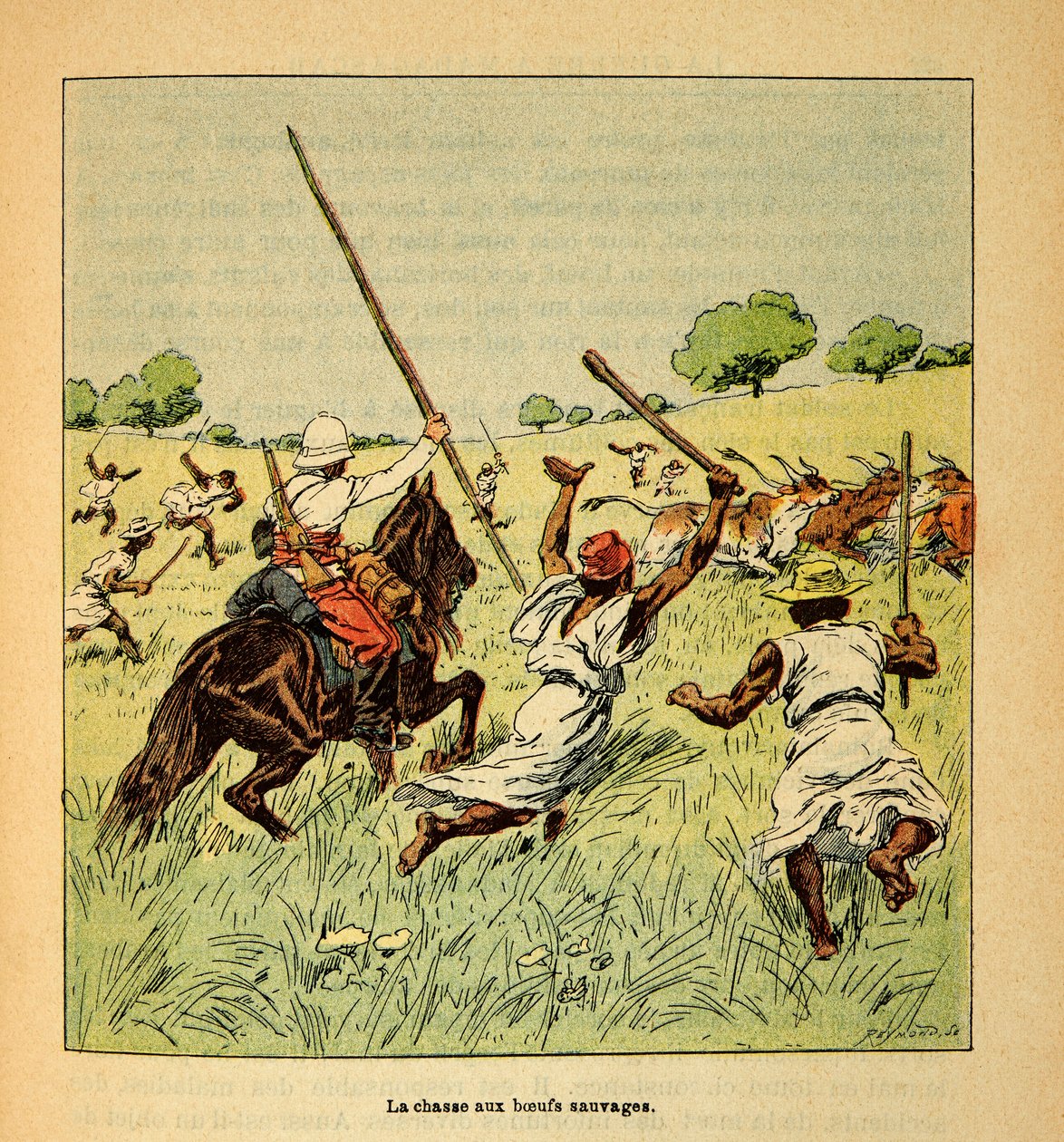 La guerra in Madagascar-Storia aneddotica delle spedizioni francesi del 1885-1895 di Henri Galli detto Galllichet (1854-1922), illustrato da Louis Bombled (1862-1927): La caccia ai buoi selvatici in Madagascar nel 1895, Collezione privata da Louis Charles Bombled