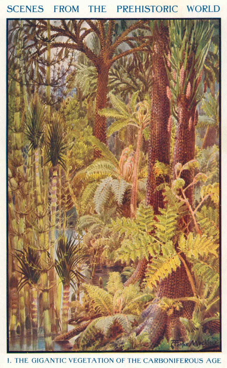 La gigantesca vegetazione del Carbonifero (litografia a colori) da Louis Fairfax Muckley