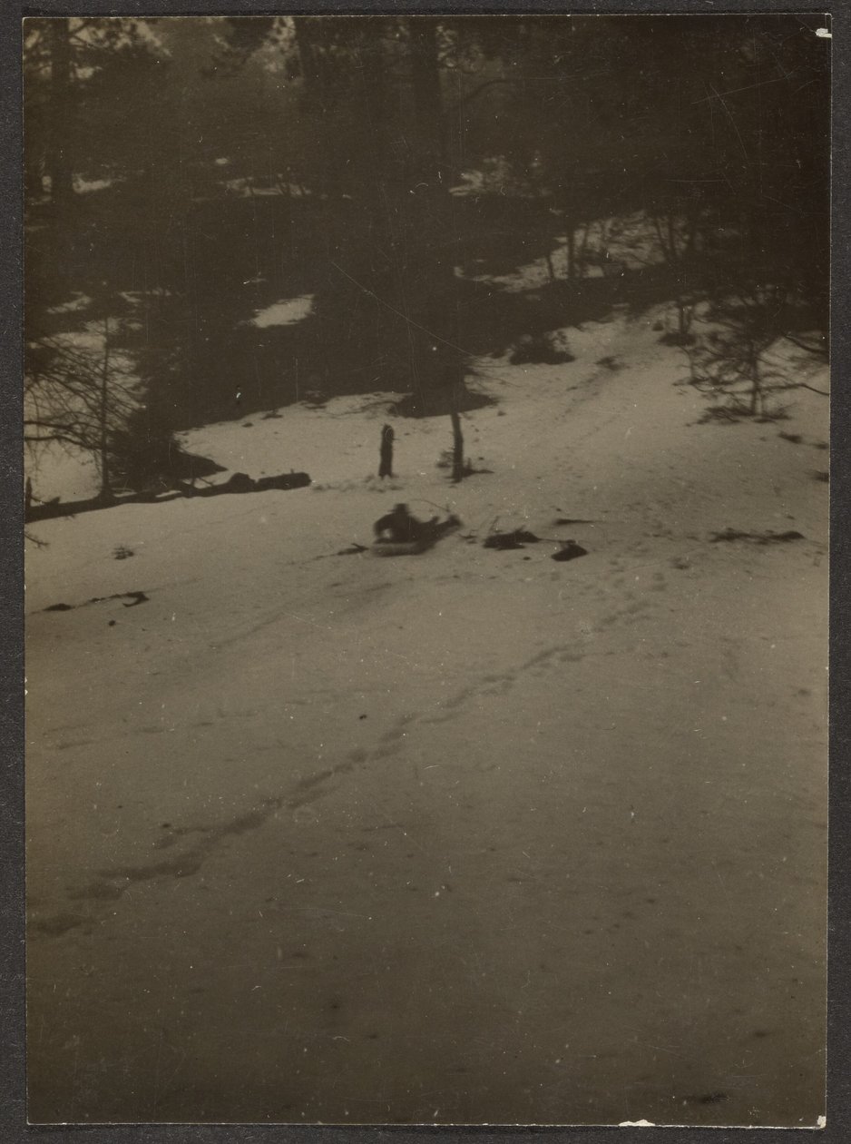 [Bambino che scende in slitta dalla collina] da Louis Fleckenstein