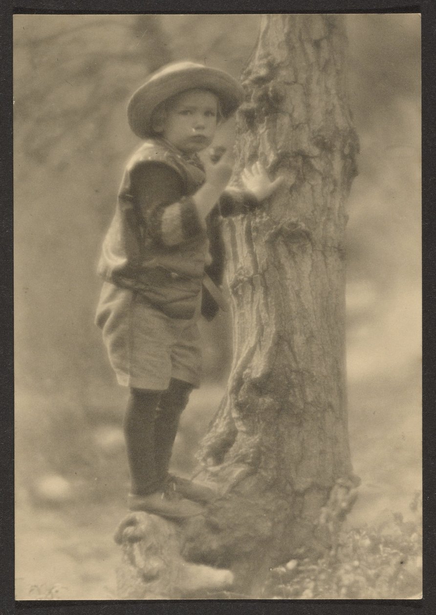 [Bambino in piedi su una radice d