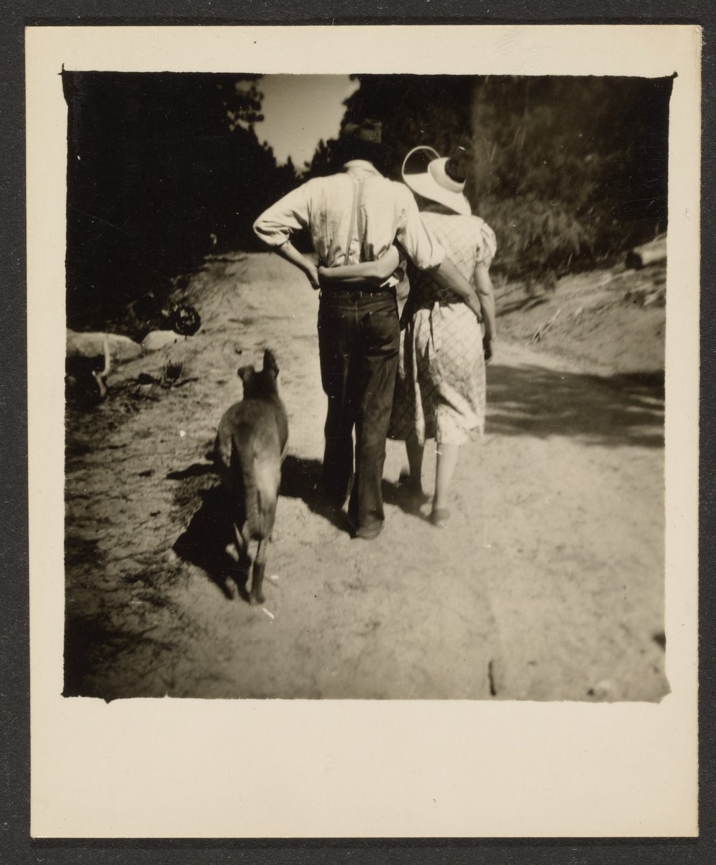 [Coppia che passeggia con il cane] da Louis Fleckenstein