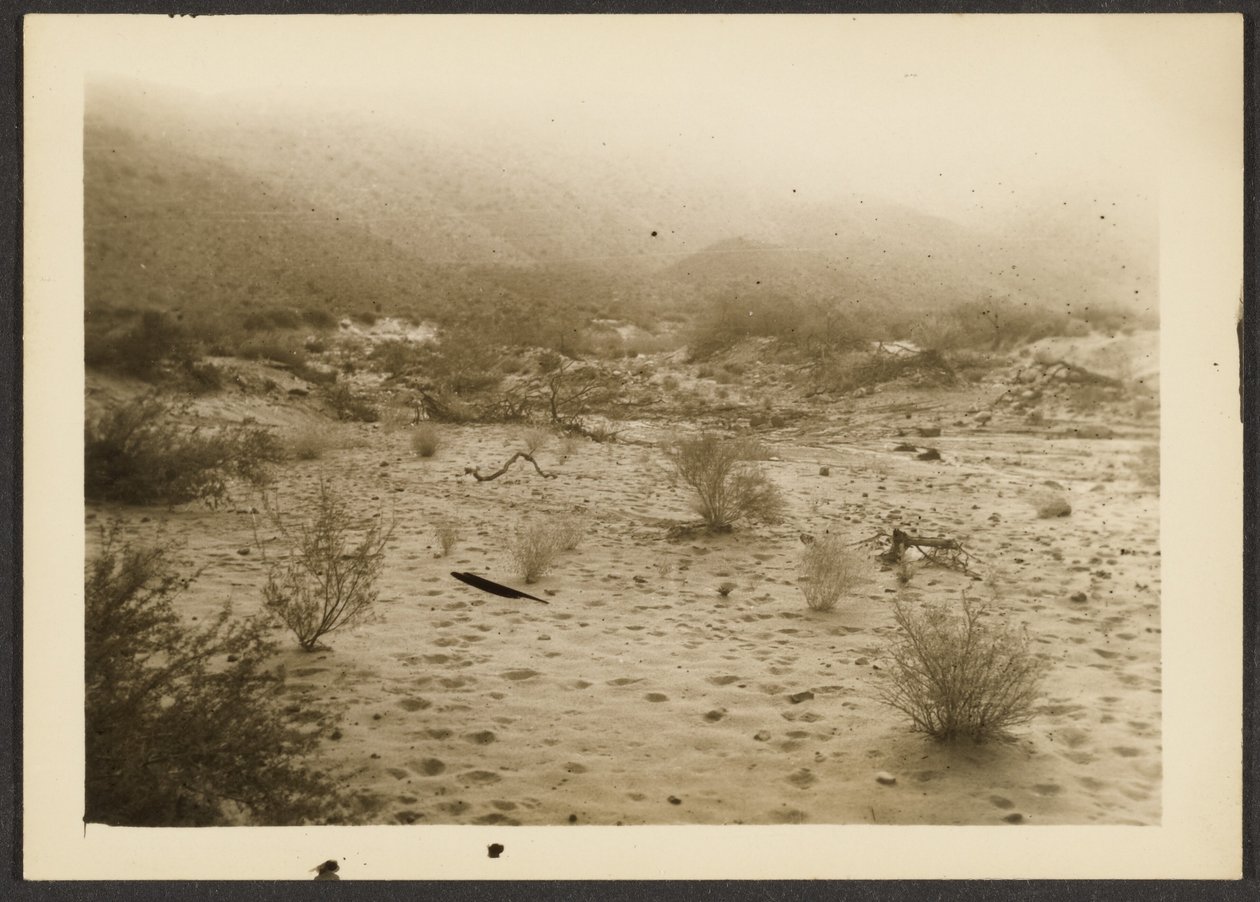 [Coyote Canyon] da Louis Fleckenstein