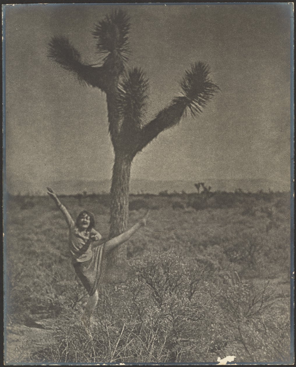 [Ballerina a Joshua Tree] da Louis Fleckenstein