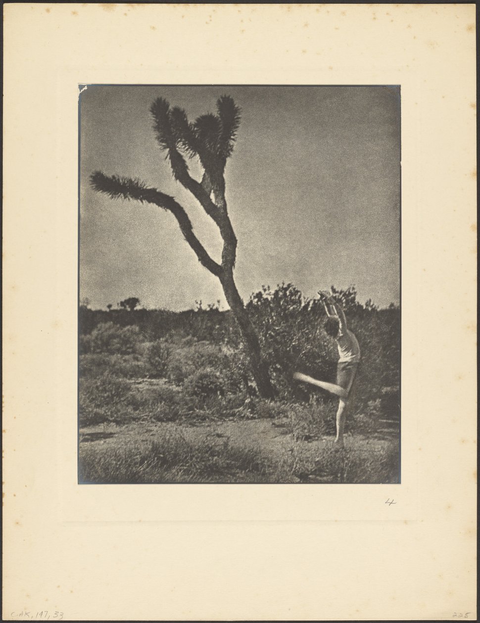 [Ballerina a Joshua Tree] da Louis Fleckenstein