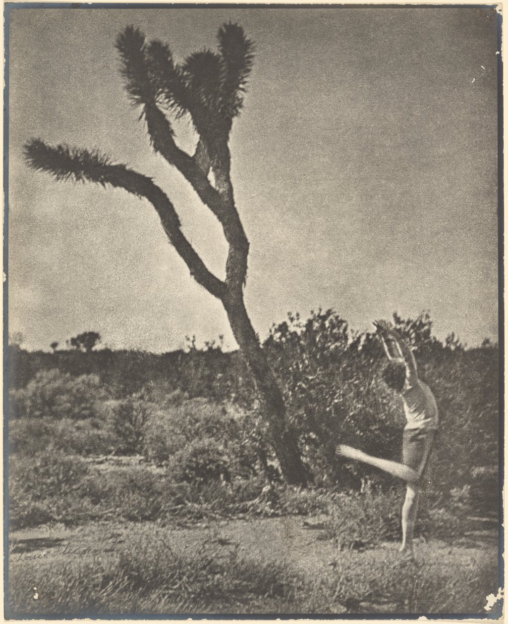 [Ballerino al Joshua Tree] da Louis Fleckenstein