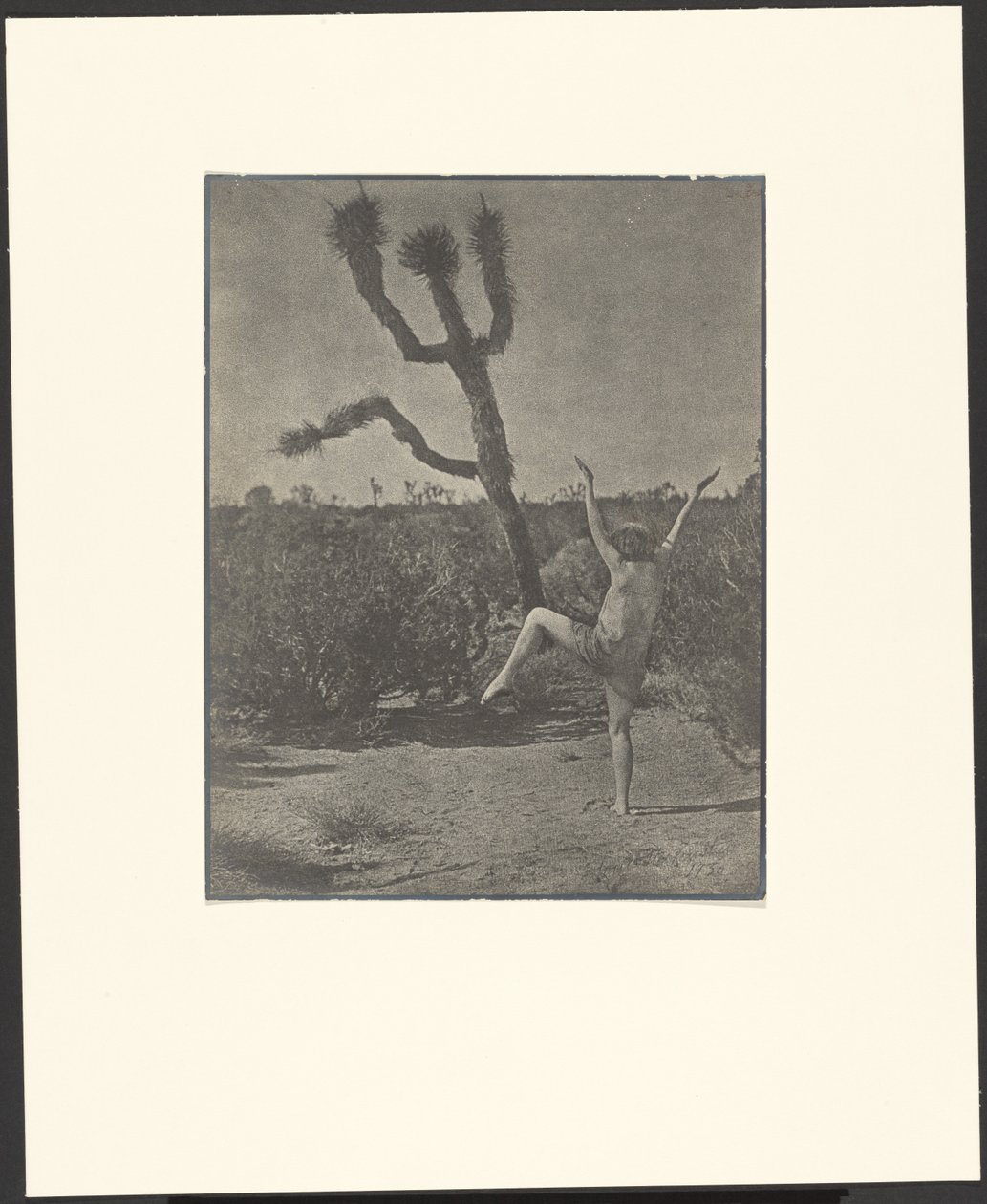 Maestro di ballo da Louis Fleckenstein