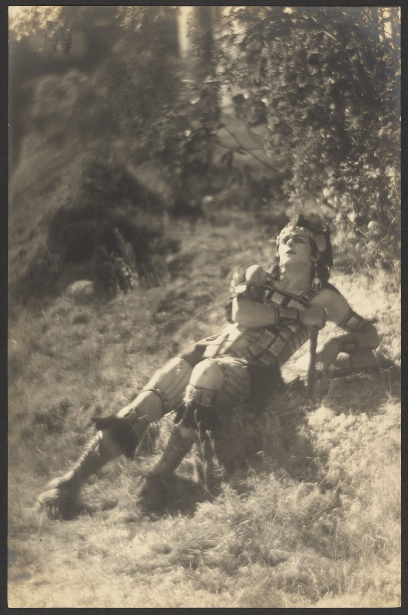 Fallen Gladiator da Louis Fleckenstein