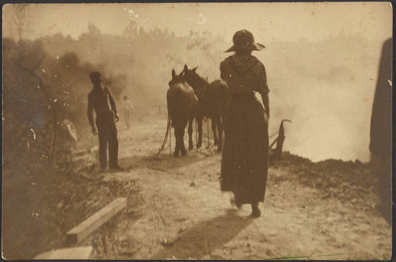[Scena di campagna con una donna che cammina verso i cavalli] da Louis Fleckenstein