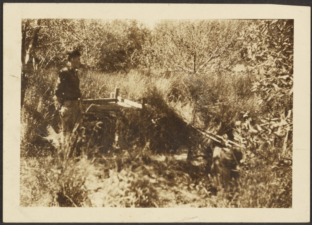 [Figura Paesaggio] da Louis Fleckenstein