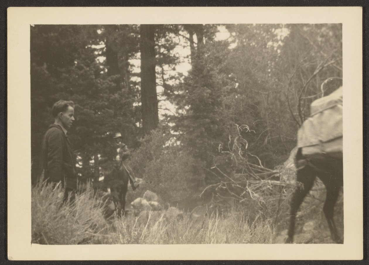 [Figure in un paesaggio boschivo]. da Louis Fleckenstein