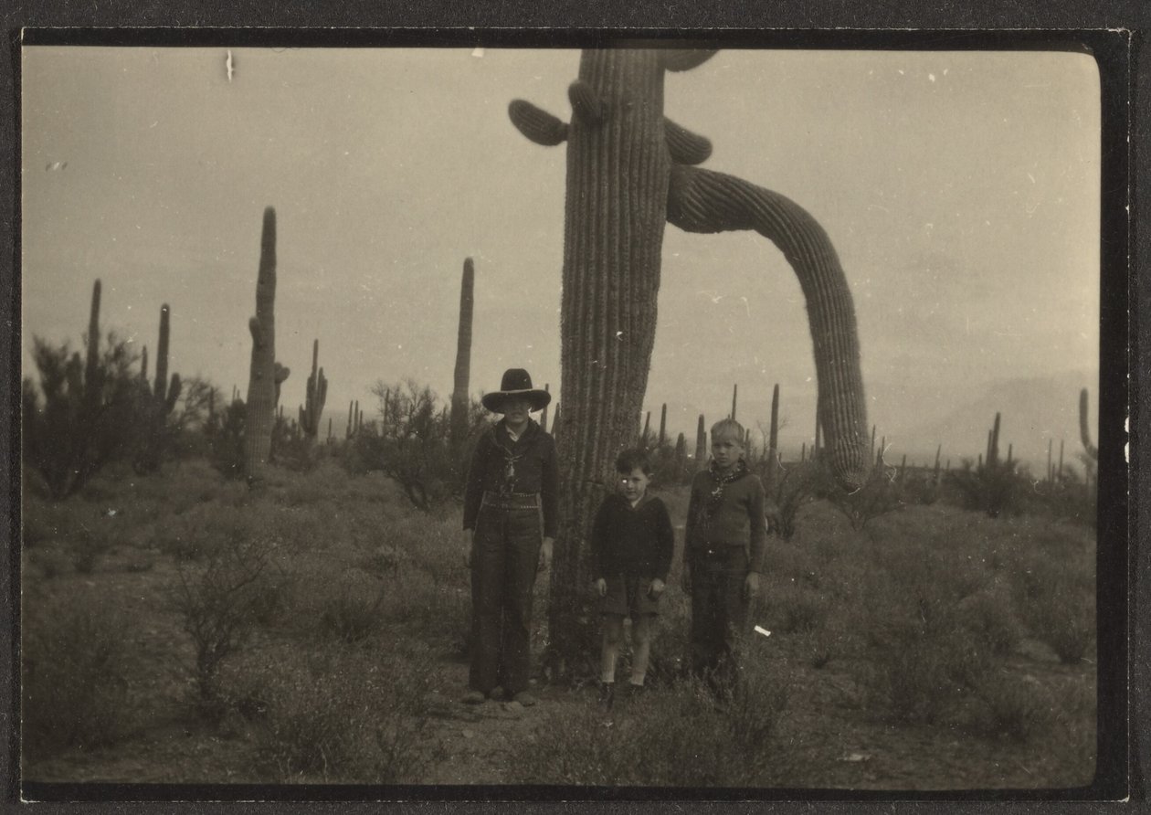 [Figure con cactus] da Louis Fleckenstein