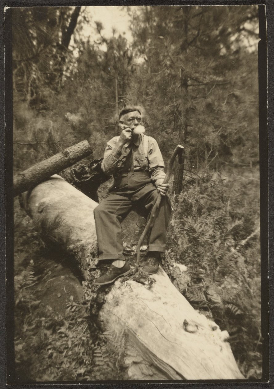 [Fleckenstein on a Log] da Louis Fleckenstein