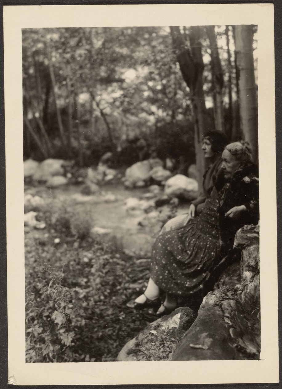 [Florence e la signora Fleckenstein presso il ruscello della foresta]. da Louis Fleckenstein