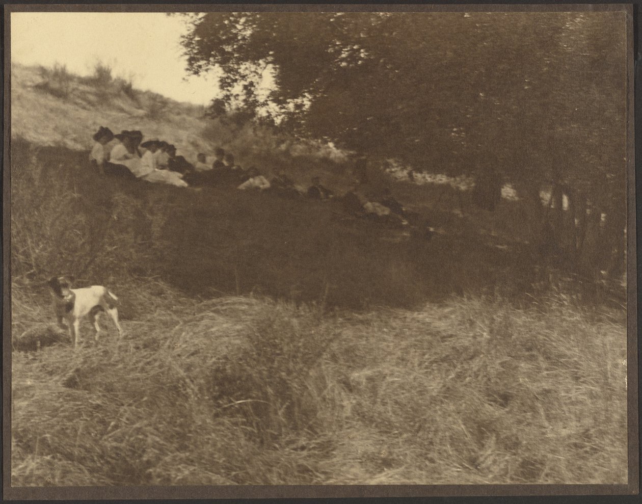 [Ritratto di gruppo a riposo in un campo con un cane] da Louis Fleckenstein