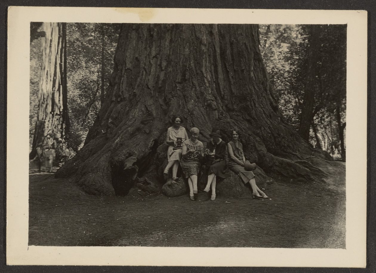 [Ritratto di gruppo ai piedi di un albero] da Louis Fleckenstein