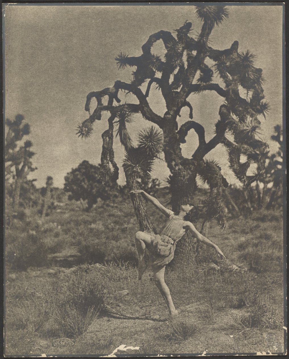 Ispirazione della danza da Louis Fleckenstein