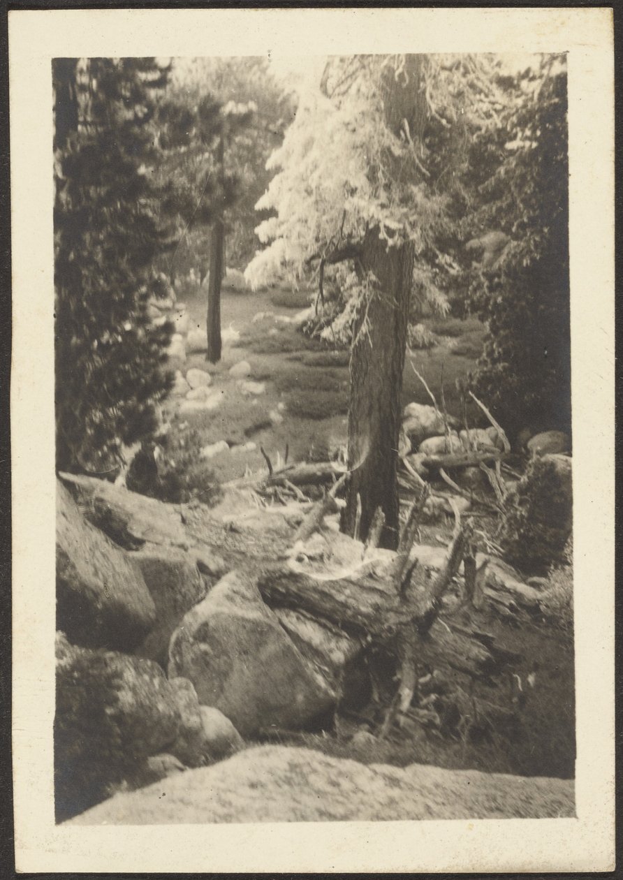 [Paesaggio] da Louis Fleckenstein