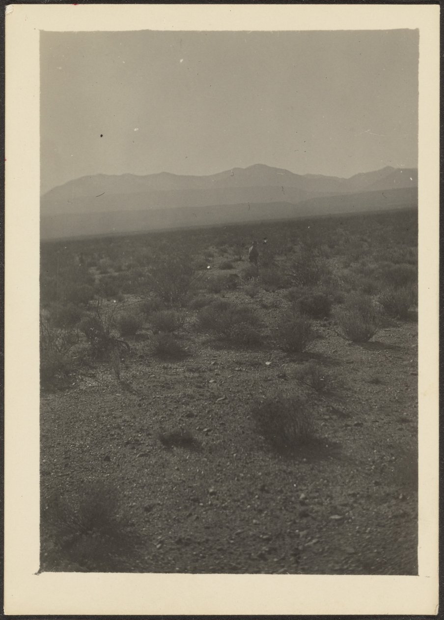 [Paesaggio] da Louis Fleckenstein