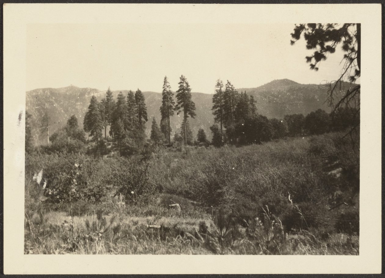 [Paesaggio] da Louis Fleckenstein