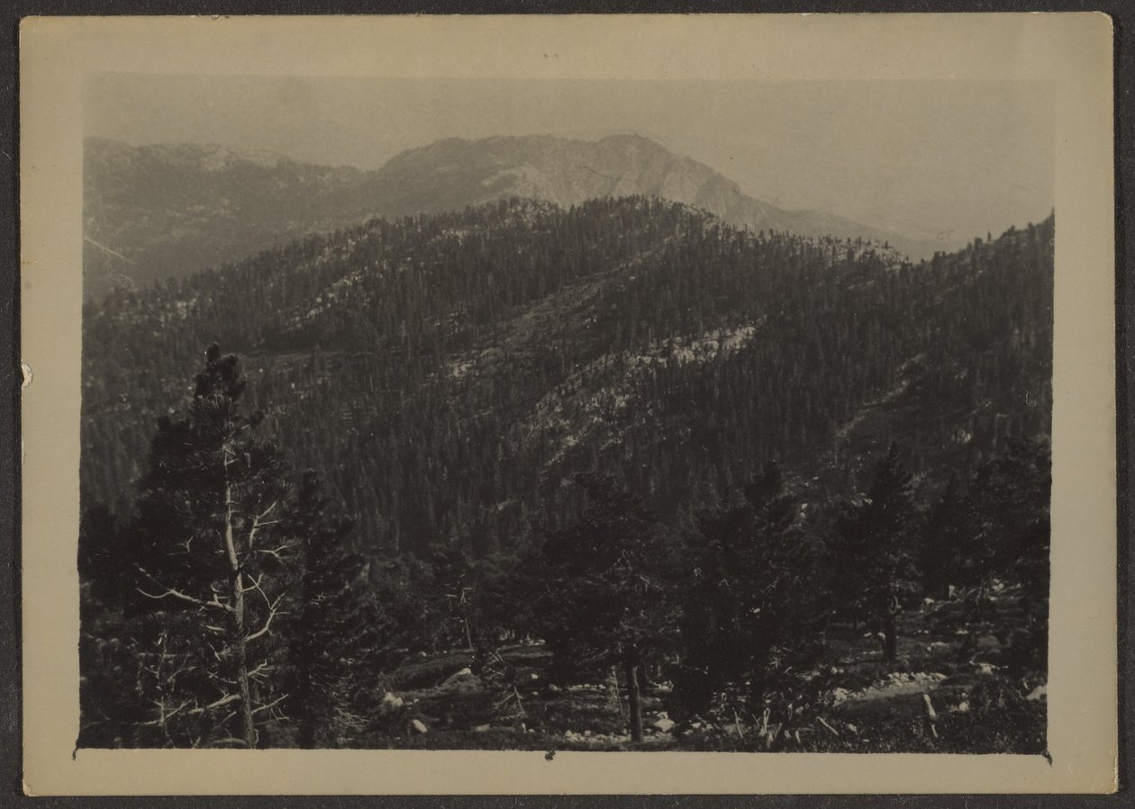 [Paesaggio] da Louis Fleckenstein